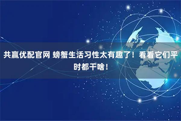 共赢优配官网 螃蟹生活习性太有趣了！看看它们平时都干啥！